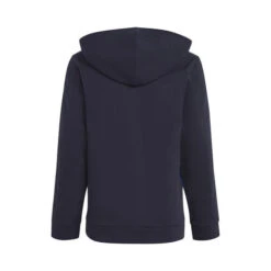 ADIDAS Colorblock 3-Stripes Hoody Boys 5 ADIDAS Colorblock 3-Stripes Hoody Boys -ADIDAS Store 18064000 0 2